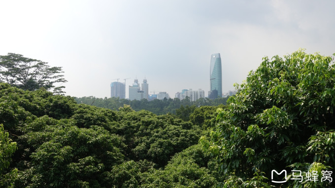 深圳莲花山公园游记——261